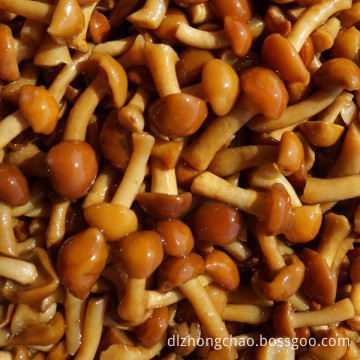 Fresh,nameko in brine Style and Whole Part Nameko In Brine